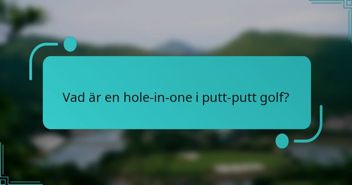 Vad är en hole-in-one i putt-putt golf?